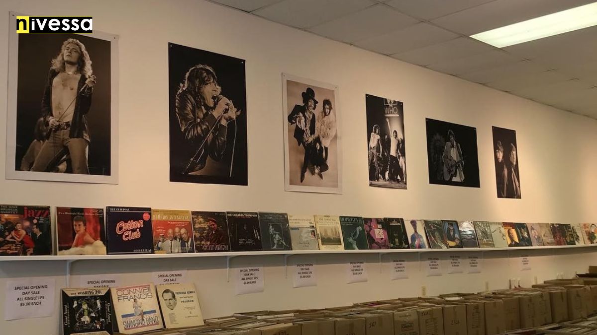 The Timeless Allure of Vinyl Records A Journey into Analog Sound